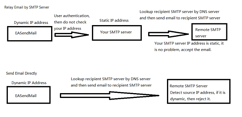 DNS lookup