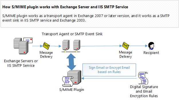 How S/MIME plugin works with email encryption in IIS SMTP Service