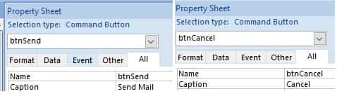 vba access named button.