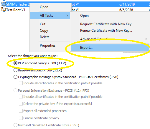 Export certificate to .cer file